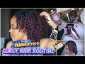 START TO FINISH Summer Curly Hair Routine for LOW POROSITY NATURAL HAIR | SUPER DEFINED WASH AND GO