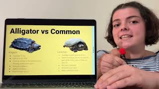 Adaline Ross Snapping Turtle Presentation