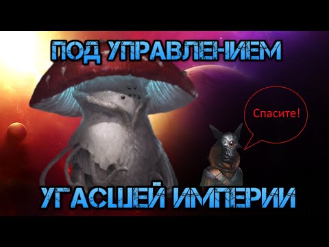 Видео: Stellaris. Под управлением Угасшей Империи (Отпрыск) №2