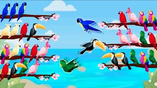 Bird puzzle sorting offline game challenging bird Android_gameplay screenshot 1