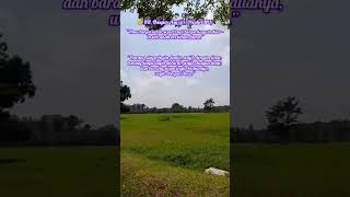 🌼 KH. Hasyim Asy’ari (Pendiri NU) #quotes #shortsviral #shorts