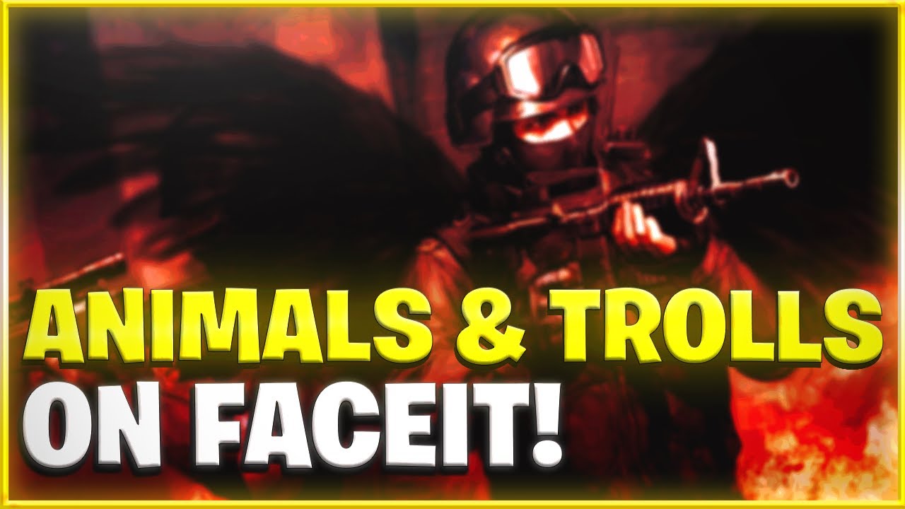 PROTECT THE CS:GO ANIMALS GO TROLL!!!!! - YouTube