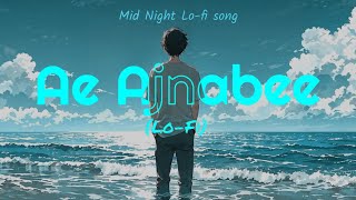 Ae Ajnabee Lo-Fi slowed & reverb mid Night song