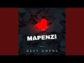 Mapenzi