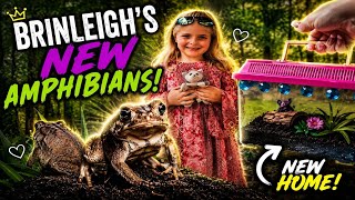 BRINLEIGH CAUGHT WHAT?! 🐸 Building Our Frogs a NEW HOME!