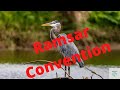 Ramsar convention explained  heal earth