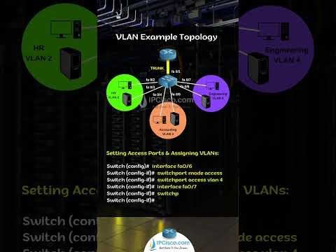 Cisco VLAN Configuration Example 2  | CCNA 200-301 Shorts | 1 Minute Quick Configs | IPCisco.com