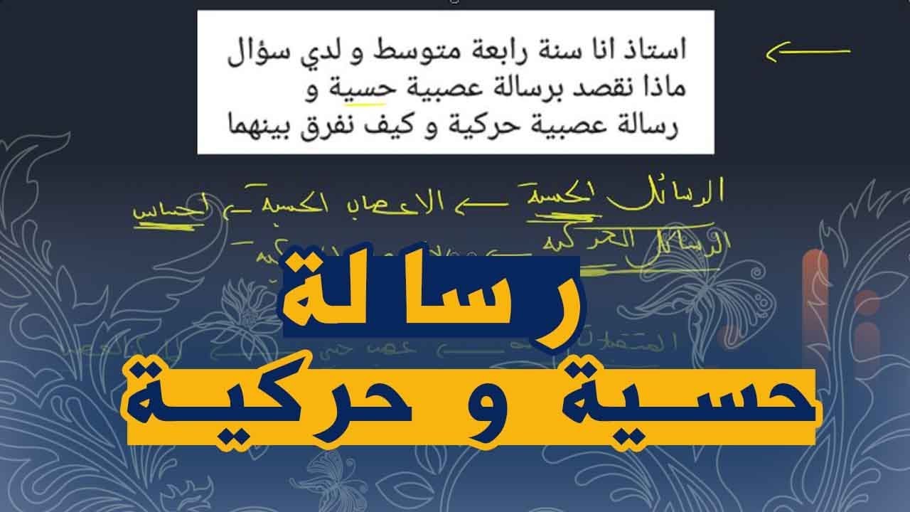 الفرق بين الرسائل الحسية و الحركية علوم طبيعية للرابعة متوسط