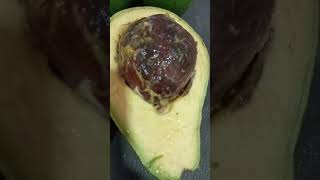 I Like To Eat Avocado But....worms Are There