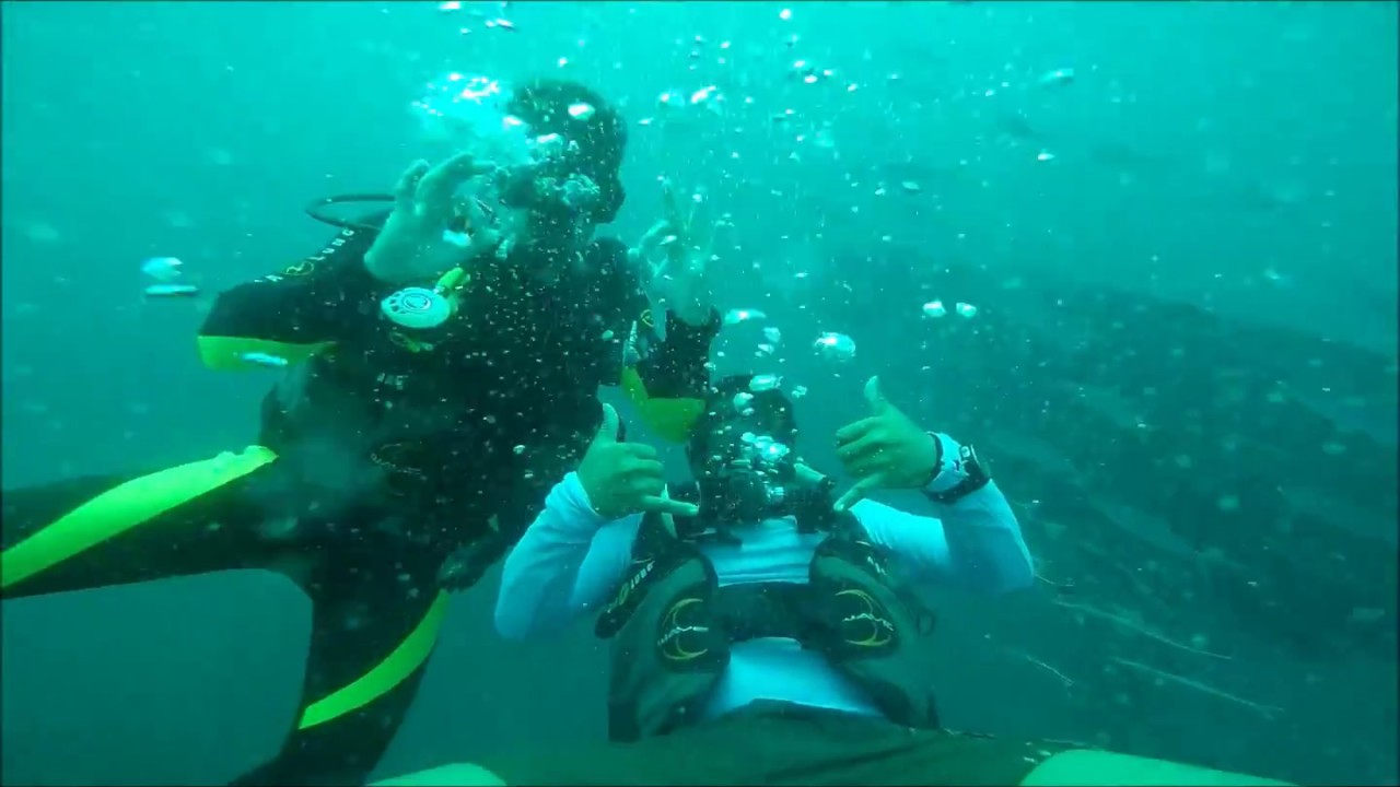 Diving with whale sharks in Coron Palawan Philippines YouTube