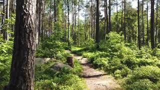 Should code coverage check fail the build?