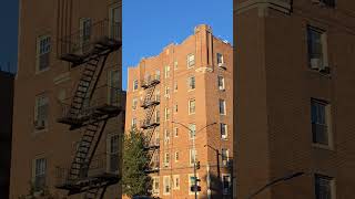 Ocean Ave Architechture/Buildings Brooklyn NY - Sheepshead Bay #photography #nyc #galaxys24ultra