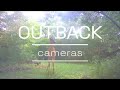 OUTBACK Cameras Fawns June 2025