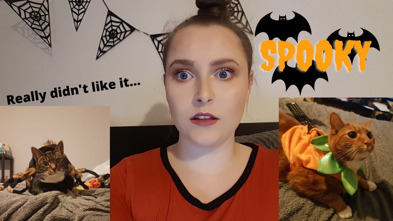 DRESSING UP MY CATS IN HALLOWEEN COSTUMES He growled at me!!! YouTube