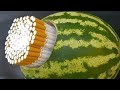 10 WATERMELON HACKS!