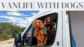 TRAVELLING WITH DOGS, OUR TOP TIPS! | MERCEDES SPRINTER FULL-TIME VANLIFE