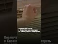 Космический туризм в Казахстане: как посмотреть на запуск ракеты с космодрома