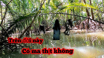 Rùng Mình Sự Sợ Hải Lần Đầu Tiên Mới Thấy Giữa Ban Ngày