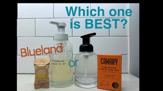 Can You Use Foaming Hand Soap Refills Without Wasting Money On A New Bottle? Blueland Vs Canary Test