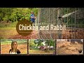 Build a poultry and rabbit enclosure