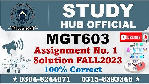 MGT603 Assignment 1 Solution Fall 2023, MGT603 Assignment 1 solution 2023, MGT603 assig 1 solution