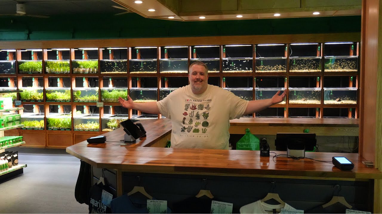 The Grand Opening of the Expansion! Our Store got 3x Bigger!