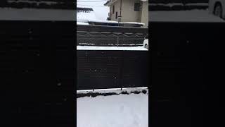 Japonya da yeni yilin ilk karı yağdı. 2021 yeni yıla karla girdik.
