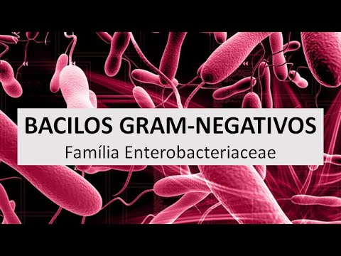 Vídeo: Todas as enterobacteriaceae oxidase são negativas?