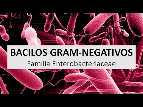 Vídeo: O que são bactérias fermentadoras de lactose?