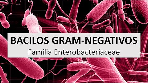 Como se pega a bactéria Enterobacter SP?