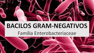 Microbiologia Médica: Introdução aos Bacilos Gram Negativos (Família Enterobacteriaceae)