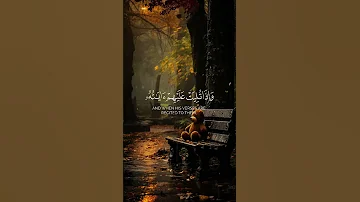 و ن ر يد أ ن ن م ن ع ل ى ال ذ ين استضعفوا في الأرض محمدسورة القصصصدیق المنشاوي Shorts 