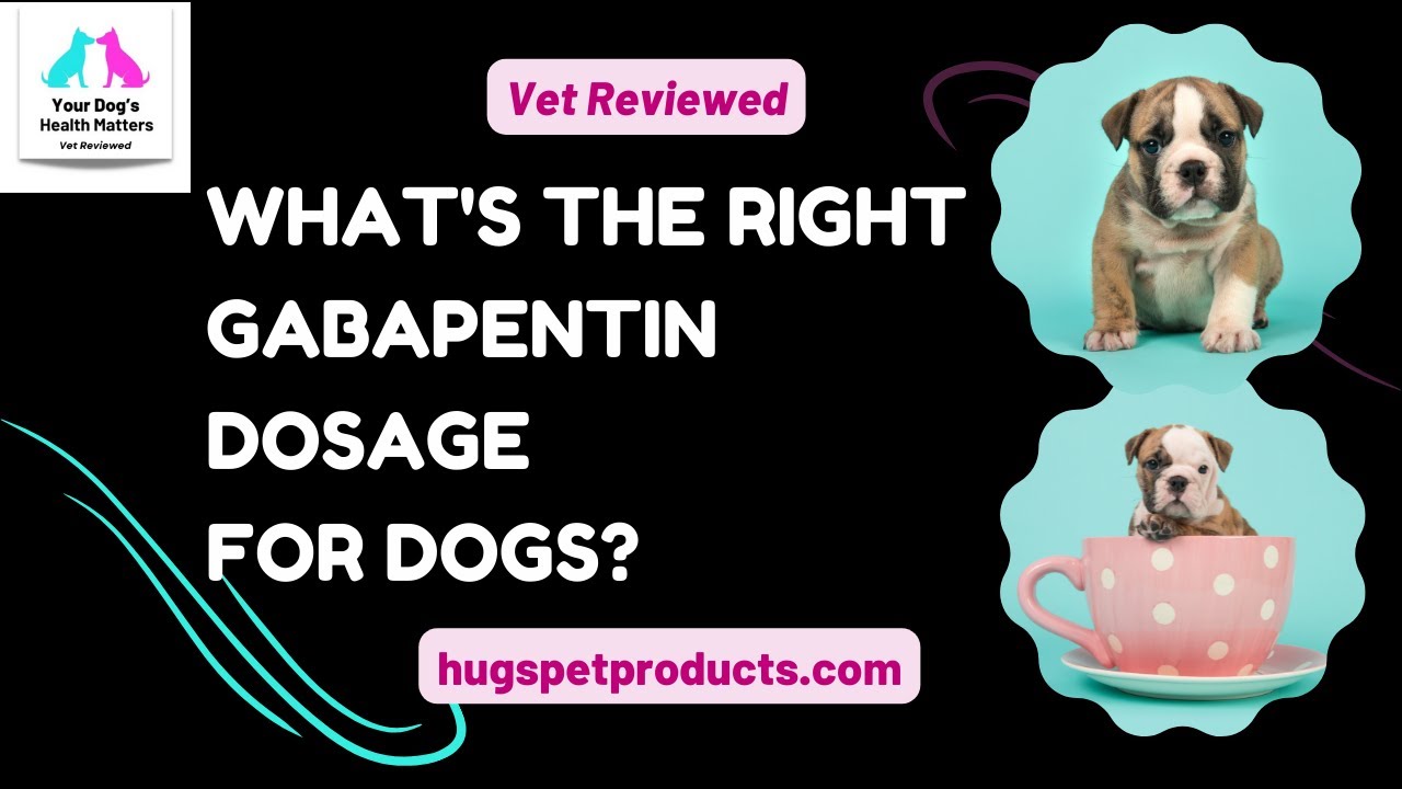 What's the Right Gabapentin Dosage for Dogs? Vet Reviewed - YouTube