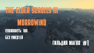 Прохождение The Elder Scrolls 3: Morrowind. Сложность: 100. Без смертей. #4