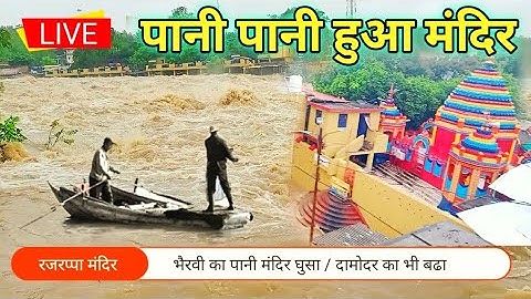 पानी पानी हुआ रजरप्पा मंदिर 😘 ।। Damodar Nadi ka badh।।