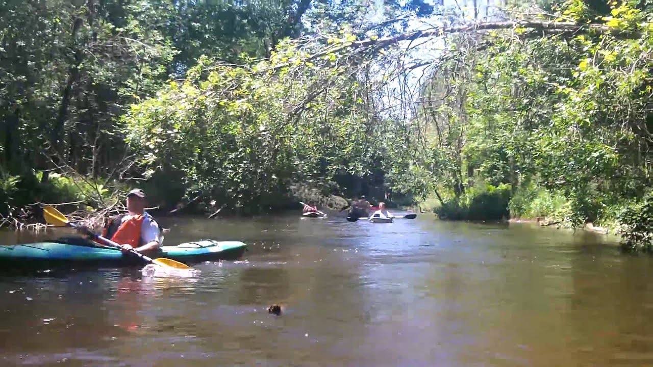 Black River Kayaking Trip 3 YouTube