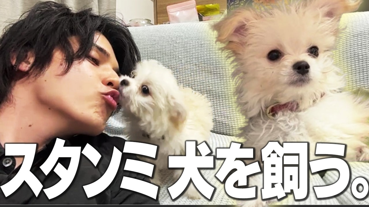 スタンミ家に新しい家族が増えました。