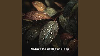 Nature Rain for Deep Sleep, Pt.5