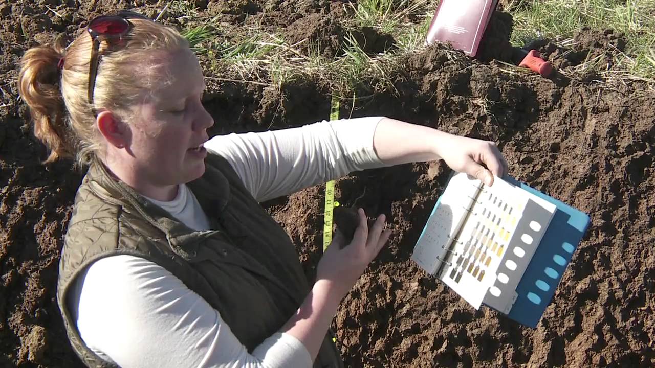 How To Read A Munsell Soil Color Chart