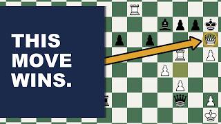 The Most Beautiful Finish of the 2016 World Championship | Carlsen vs Karjakin, New York 2016 screenshot 2