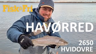 Havørred - 2650 Hvidovre Eng Subs