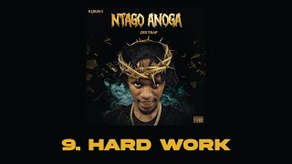 Hard Work By Zeotrap Official Lyrics Video
