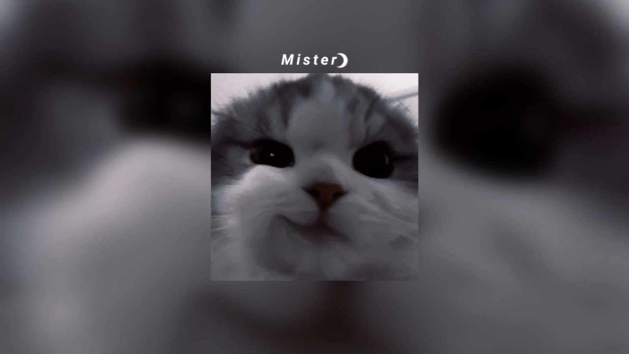 𝘼𝙛𝙩𝙚𝙧 𝘿𝙖𝙧𝙠 𝙭 𝙎𝙬𝙚𝙖𝙩𝙚𝙧 𝙒𝙚𝙖𝙩𝙝𝙚𝙧 (𝙨𝙡𝙤𝙬𝙚𝙙 + 𝙧𝙚𝙫𝙚𝙧𝙗) 𝟴𝘿 𝙖𝙪𝙙𝙞𝙤