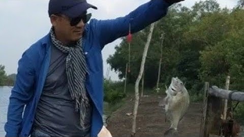 Điểm câu cá Hanh ( cá Tráp ) lý tưởng cho các cần thủ.  || Câu Cá Thiên Nhiên