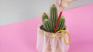 Self-watering POTR
