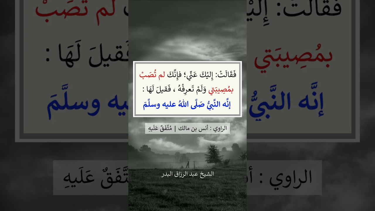 مَرَّ النبي صلى الله عليه وسلم بامرأةٍ تبكي عند قبر -- الشيخ عبد الرزاق البدر