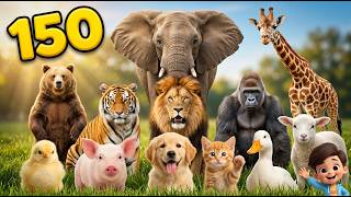 150 Real Cute Animal Sounds for Kids 🦁 | Ultimate Wild & Farm Animal Compilation screenshot 1