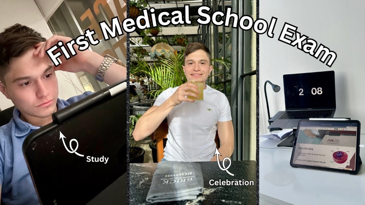 A Day In Medical School Vlog Free Day Study YouTube a-day-in-medical-school-vlog-free-day-study-youtube