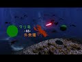 マリモ-VS-外来種 OST - 04 反攻戦術