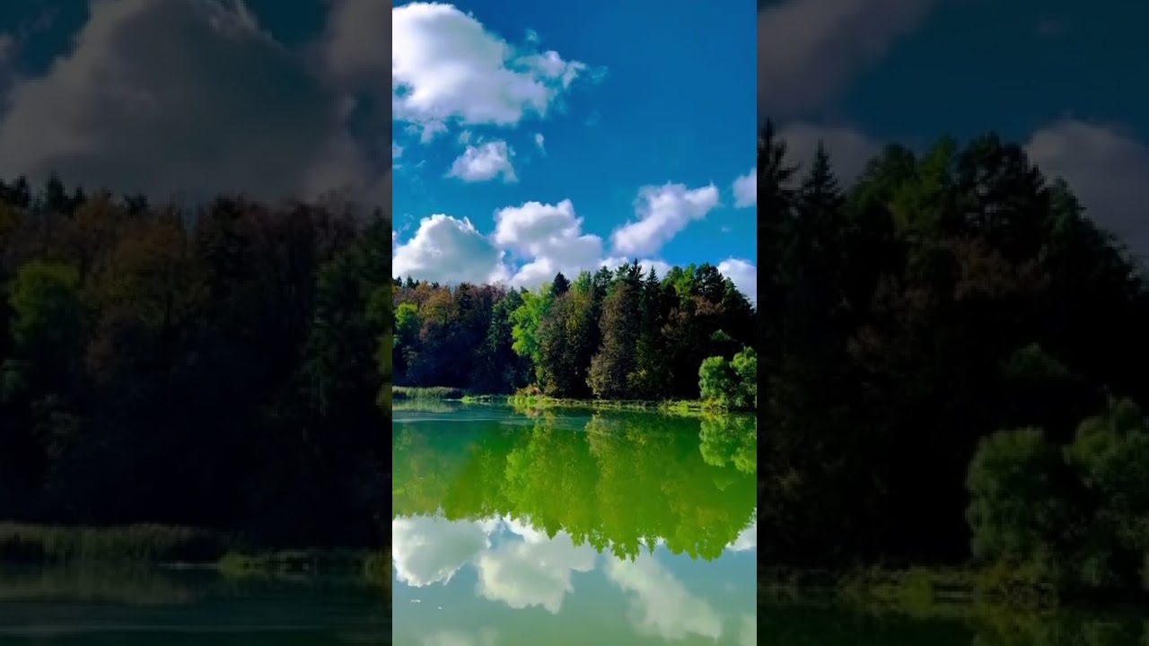 Волшебная осень в КП Shelkovo Eco Club в 45 мин от Москвы 